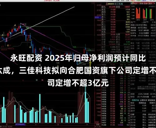 永旺配资 2025年归母净利润预计同比下降超六成，三佳科技拟向合肥国资旗下公司定增不超3亿元