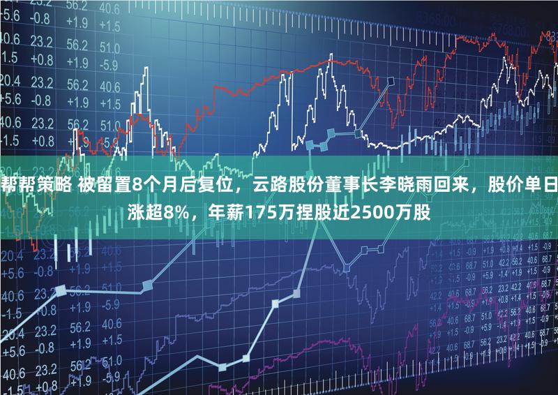 帮帮策略 被留置8个月后复位，云路股份董事长李晓雨回来，股价单日涨超8%，年薪175万捏股近2500万股