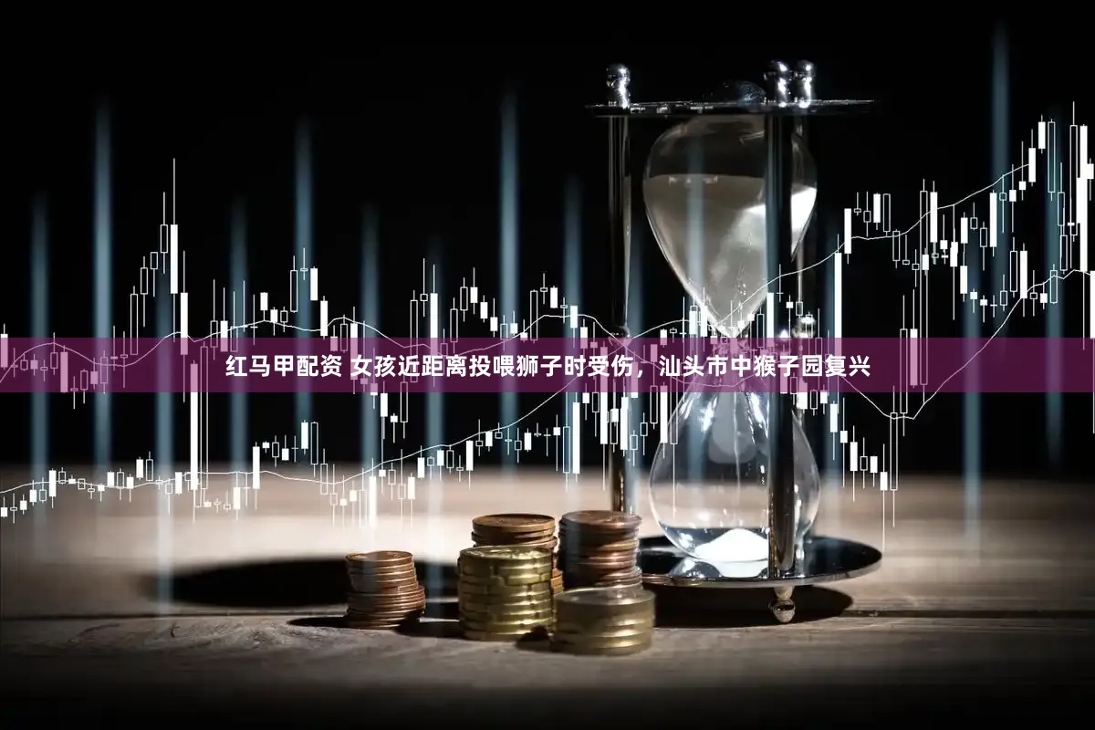 红马甲配资 女孩近距离投喂狮子时受伤，汕头市中猴子园复兴