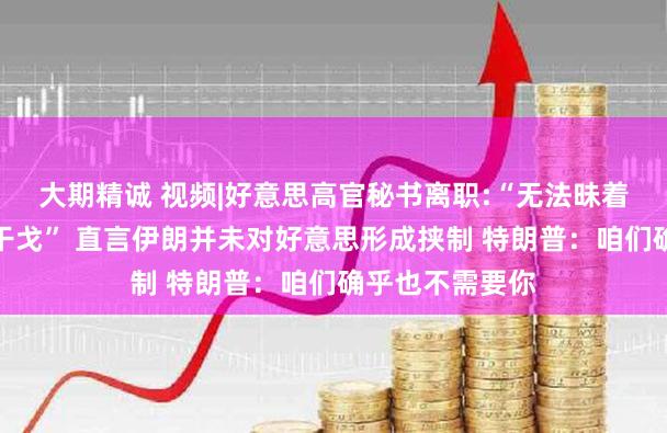 大期精诚 视频|好意思高官秘书离职:“无法昧着良心复旧对伊干戈” 直言伊朗并未对好意思形成挟制 特朗普：咱们确乎也不需要你