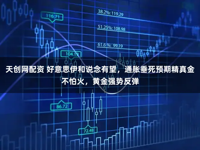 天创网配资 好意思伊和说念有望，通胀垂死预期精真金不怕火，黄金强势反弹
