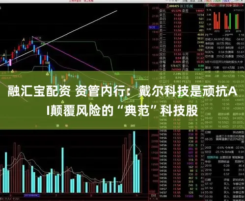 融汇宝配资 资管内行：戴尔科技是顽抗AI颠覆风险的“典范”科技股