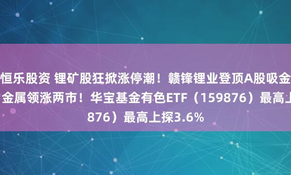恒乐股资 锂矿股狂掀涨停潮!赣锋锂业登顶A股吸金榜,动力金属领涨两市!华宝基金有色ETF(159876)最高上探3.6%