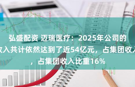 弘盛配资 迈瑞医疗:2025年公司的新兴业务收入共计依然达到了近54亿元,占集团收入比重16%