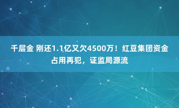 千层金 刚还1.1亿又欠4500万！红豆集团资金占用再犯，证监局源流