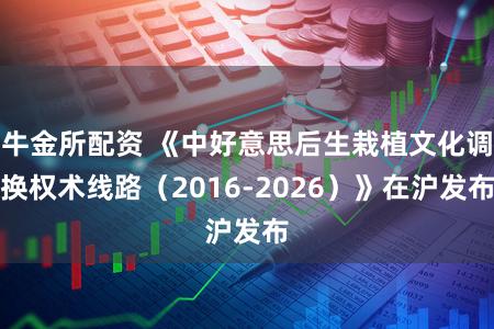 牛金所配资 《中好意思后生栽植文化调换权术线路(2016-2026)》在沪发布