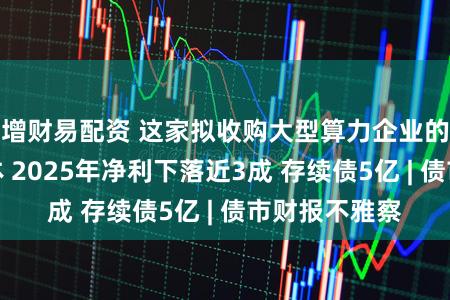 增财易配资 这家拟收购大型算力企业的热点发借主体 2025年净利下落近3成 存续债5亿 | 债市财报不雅察