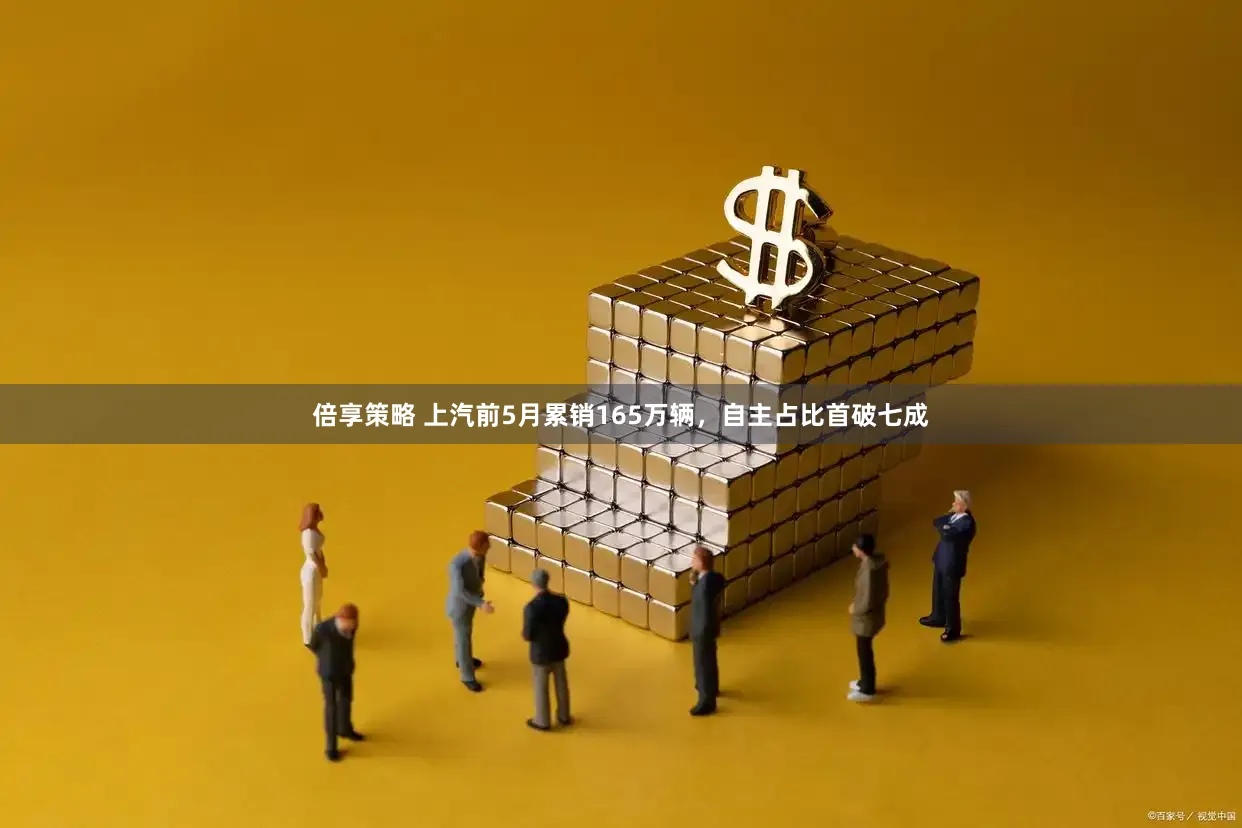 倍享策略 上汽前5月累销165万辆，自主占比首破七成